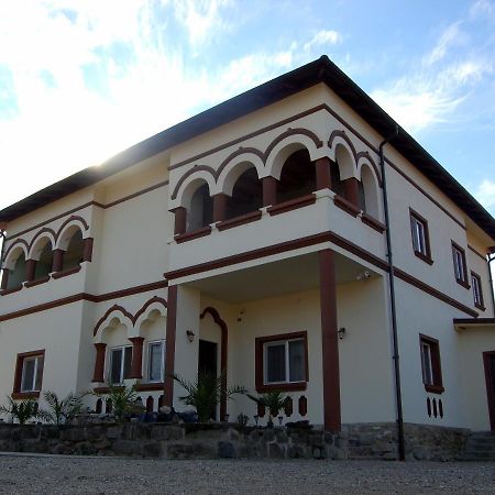 Vila Phoenix Кэлимэнешти Экстерьер фото